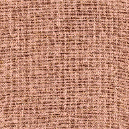 Pinto Begonia swatch