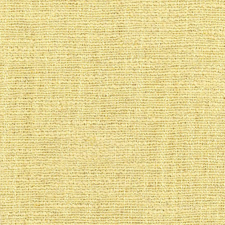 Pinto Parmesan swatch