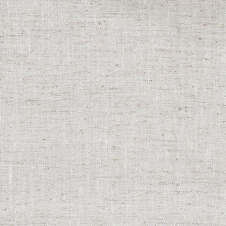 Albion Silver Swatch