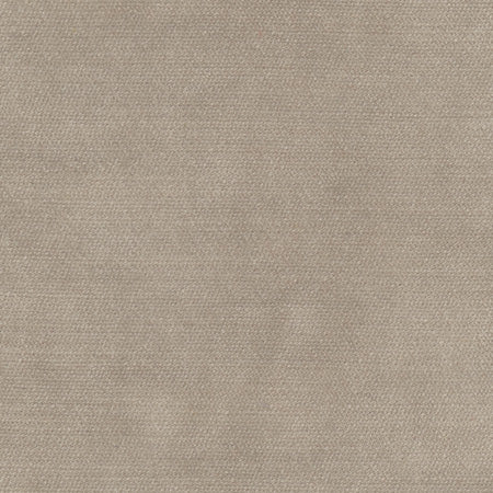 Darling Fossil swatch