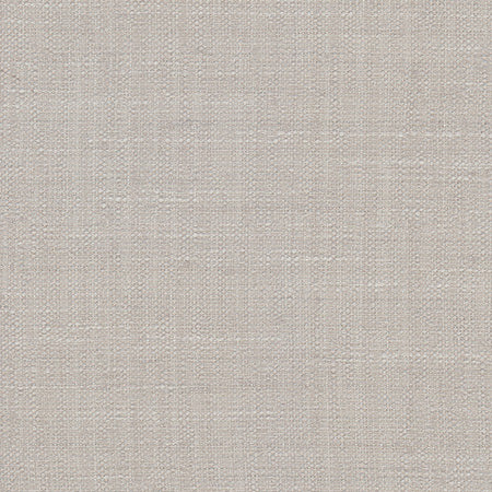 Nellie Silver Swatch