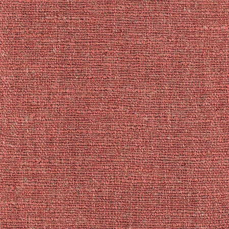 Pinto Radish swatch